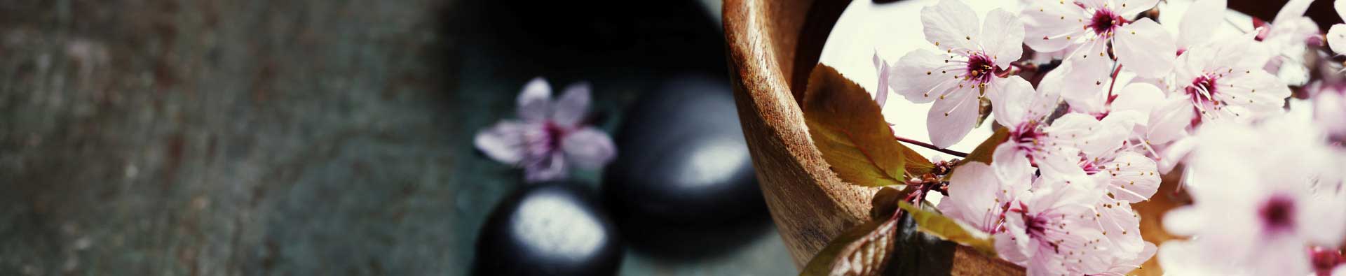 Strand Cruise Wellness Spa